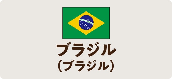ブラジル（ブラジル）